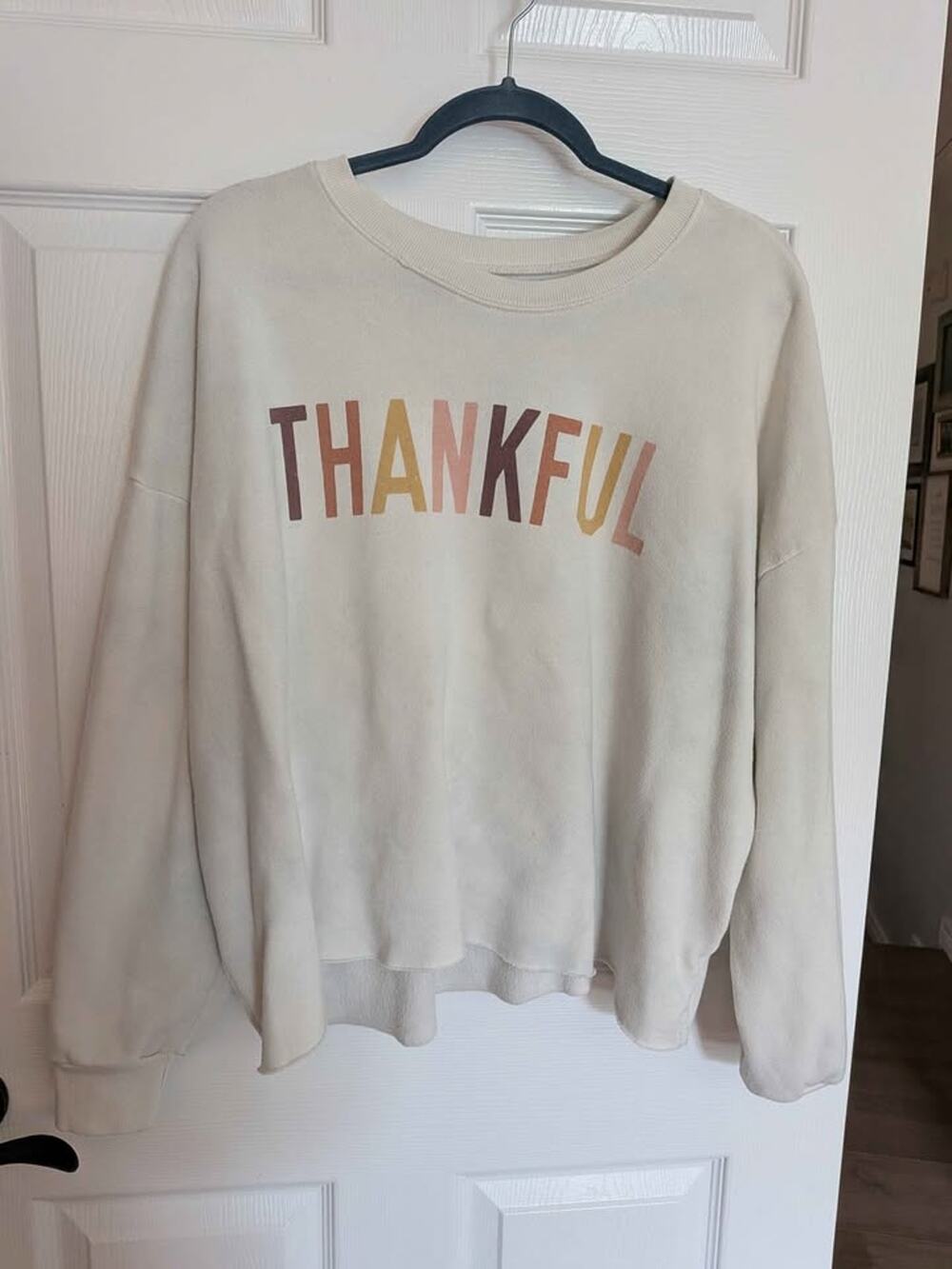 Plus Size Thankful Cropped Sweatshirt
